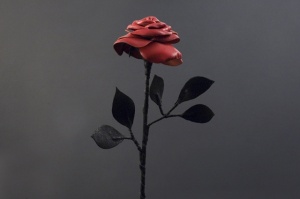 Роза Beastly декоративная, кожа, черный/красный